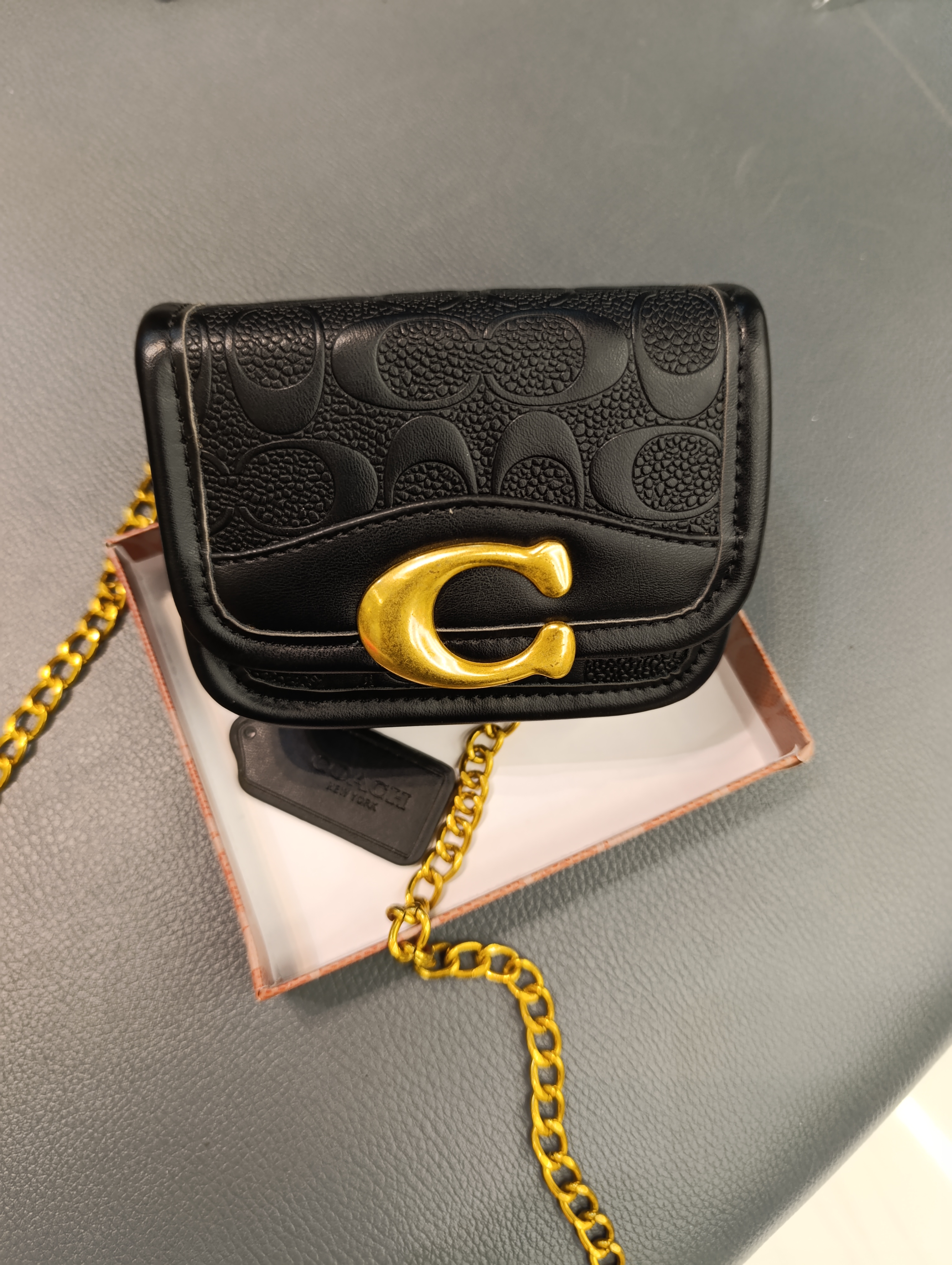 مینی بگ COACH
